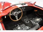 Thumbnail Photo 42 for 1967 Shelby Cobra